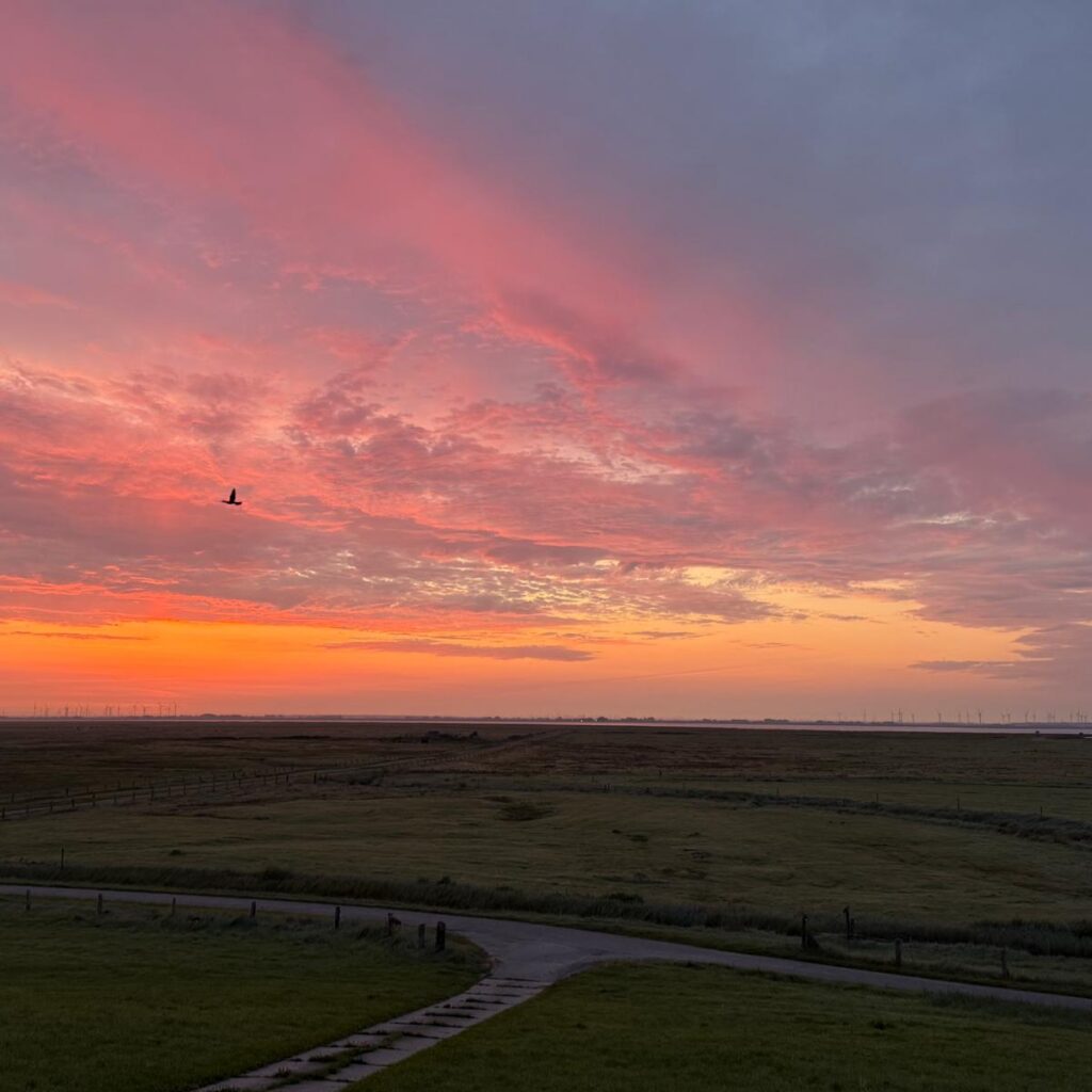 hallig-oland-sonnenuntergang