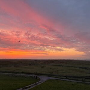 hallig-oland-sonnenuntergang