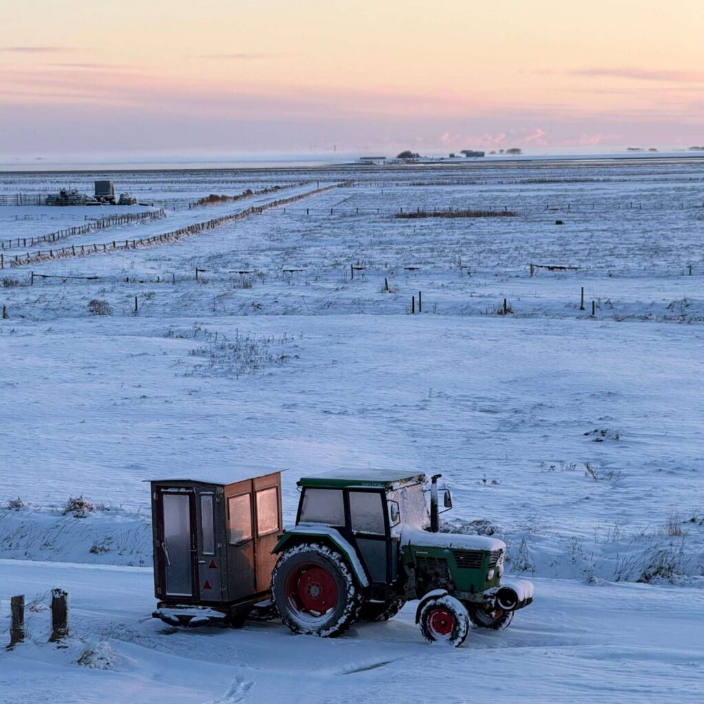 hallig-oland-fahrt-mit-der-lohre