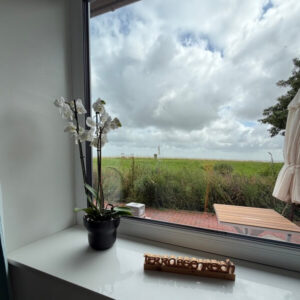 Hallig oland Aussicht aus der Ferienwohnung Terassenreich