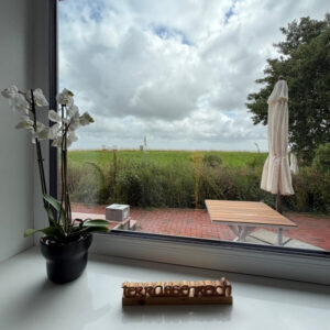Hallig oland Aussicht aus der Ferienwohnung Terassenreich