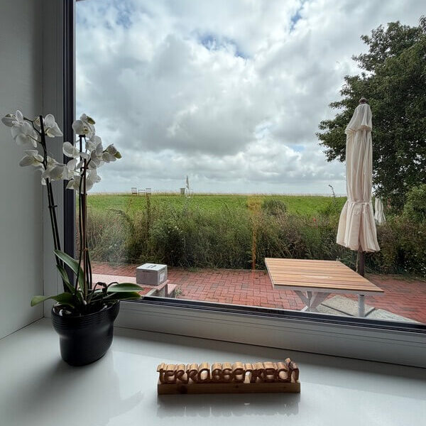 Hallig oland Aussicht aus der Ferienwohnung Terassenreich
