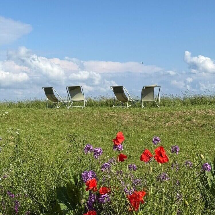 Liegestühle auf dem Deich von hallig-oland um die Aussicht zu geniessen